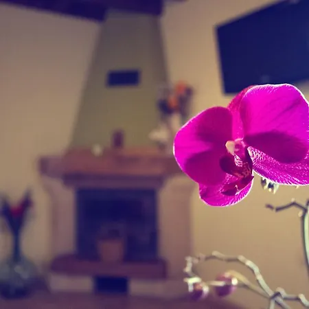 Casas Los Cantores Country house *