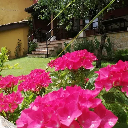 Casas Los Cantores * Beloncio
