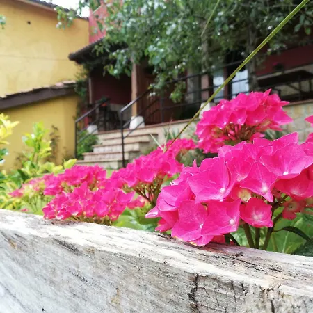 Casas Los Cantores * Beloncio
