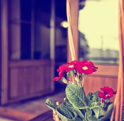 Casas Cantores Casa rural